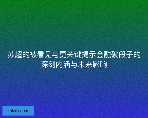 苏超的被看见与更关键揭示金融破段子的深刻内涵与未来影响